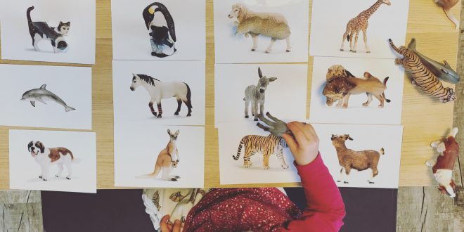 60x Montessori Verschiedene Tiere Spielzeug mit passenden Karten 