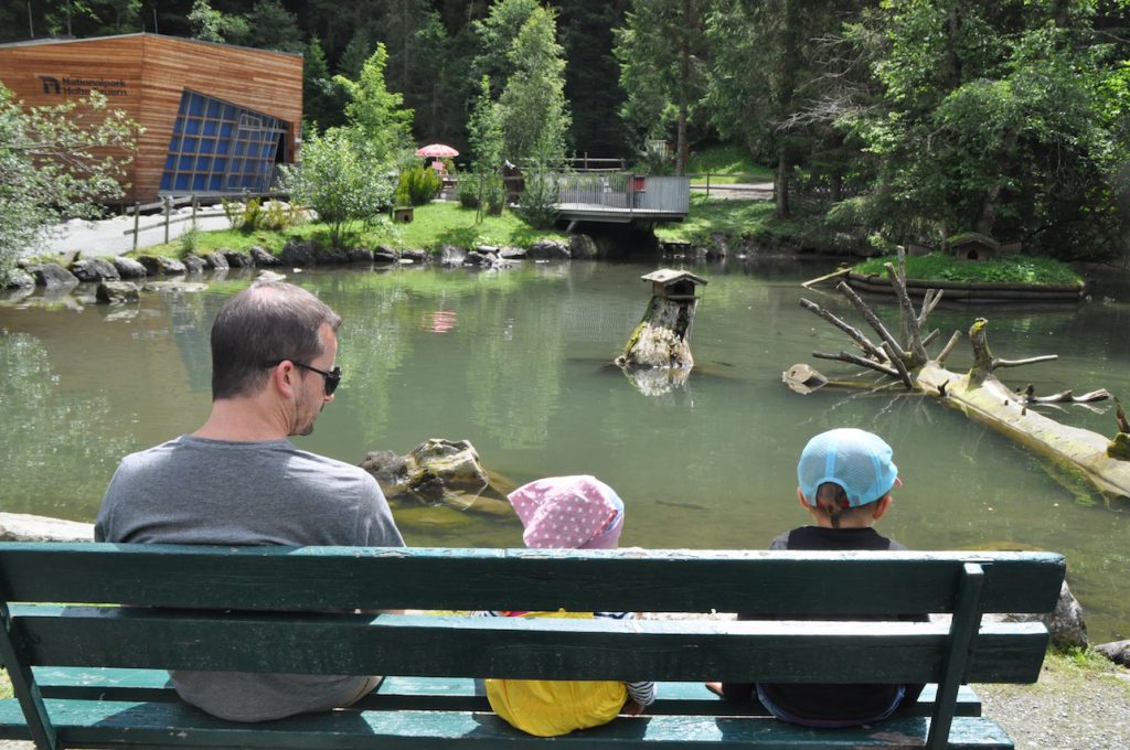 Die Top 11 Ausflugsziele in Zell am See/Kaprun mit Kindern: Wildpark Ferleiten
