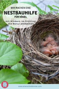 Vogelnest Nestbauhilfe Natur Kinder