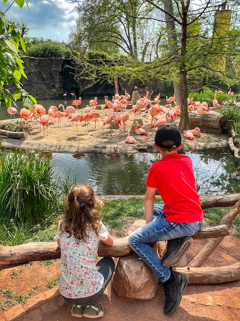 Leipzig Urlaub mit Kindern Zoo Leipzig