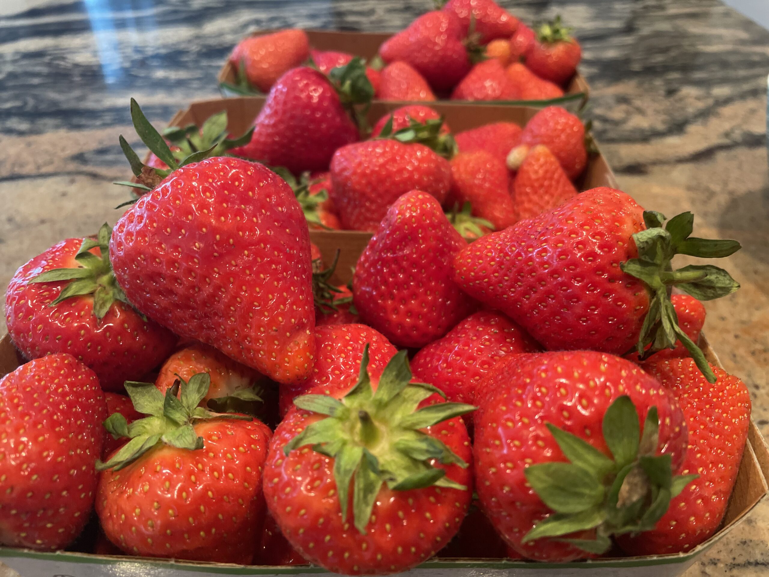 Erdbeeren für unsere Erdbeermarmelade